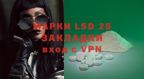 ECSTASY Богданович