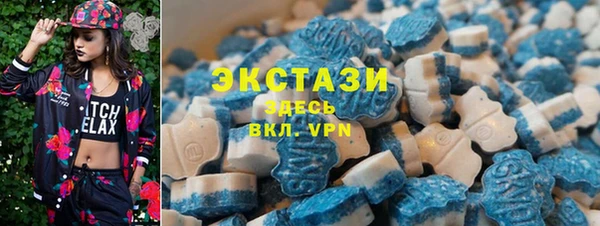 ECSTASY Богданович